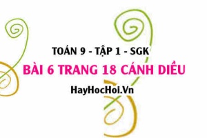 Bài 6 trang 18 Toán 9 tập 1 Cánh Diều